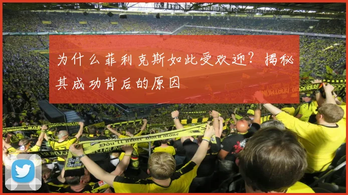 为什么菲利克斯如此受欢迎？揭秘其成功背后的原因