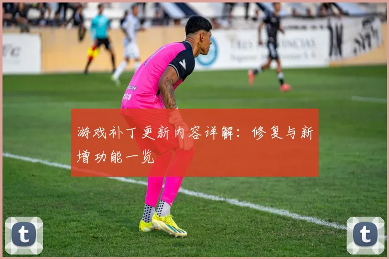 游戏补丁更新内容详解：修复与新增功能一览