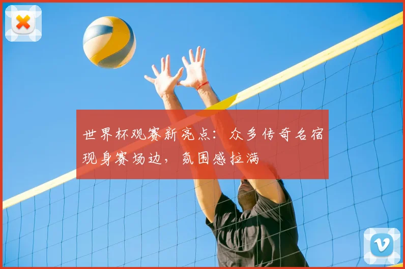世界杯观赛新亮点：众多传奇名宿现身赛场边，氛围感拉满